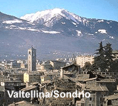 Vedi i nostri immobili in Valtellina Sondrio