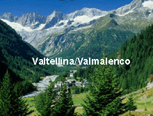 Vedi i nostri immobili in Valtellina Valmalenco